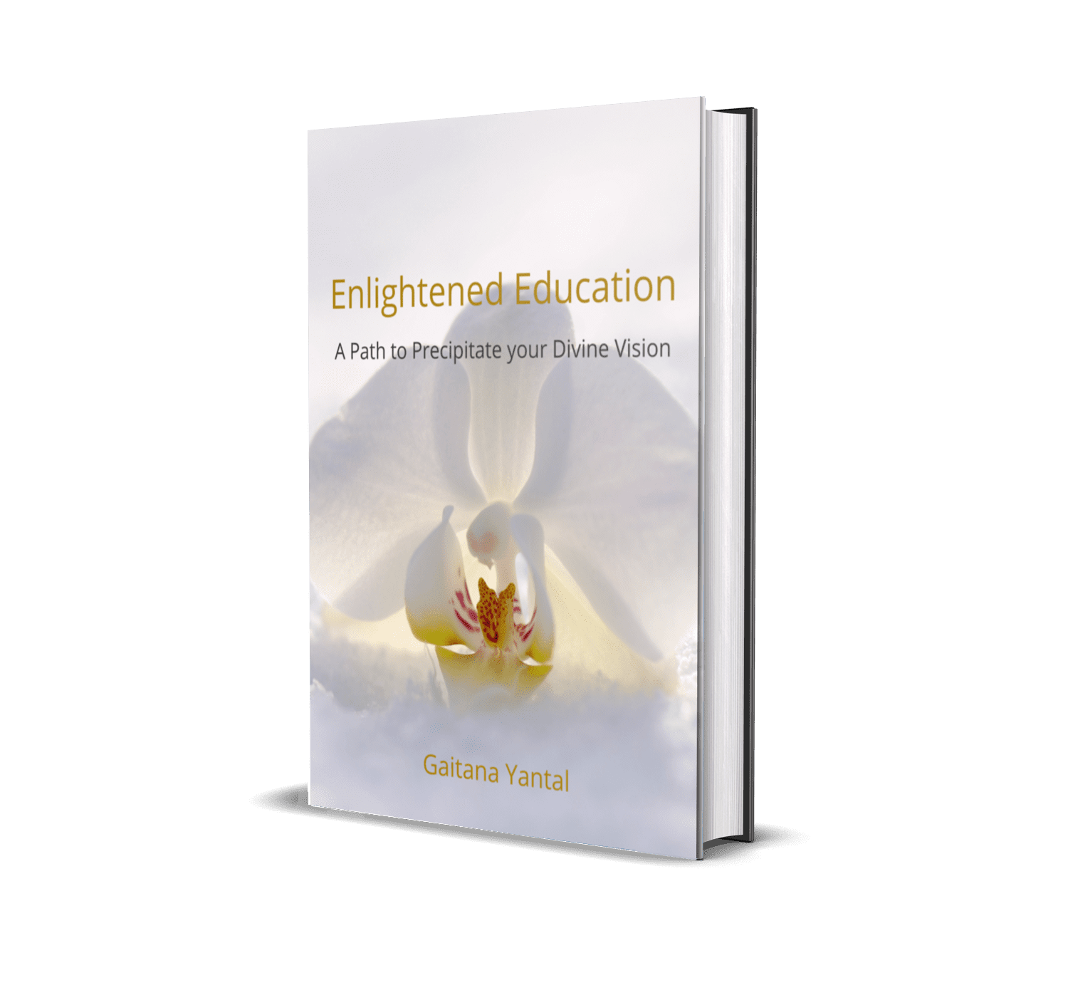 Enlightened Education – eBook