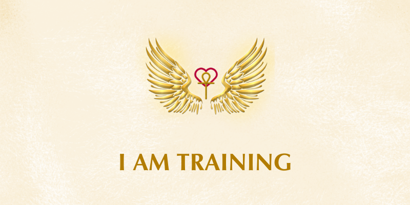 I AM Training – Enlightened Education