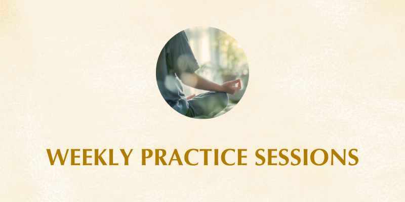 Weekly Practice Sessions – Enlightened Education